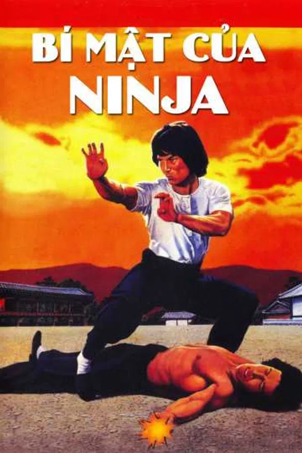 Poster phim Bí Mật Của Ninja trên Xem Phim Fun