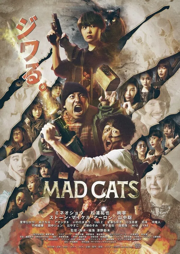 Poster phim Mèo Điên trên Xem Phim Fun