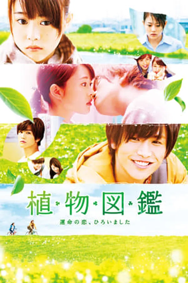 Poster phim Tình Yêu Mãi Xanh trên Xem Phim Fun